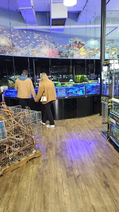 Petland Hoffman Estates Picture 4
