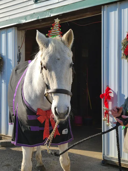 Colts Neck Equine Associates Picture 1