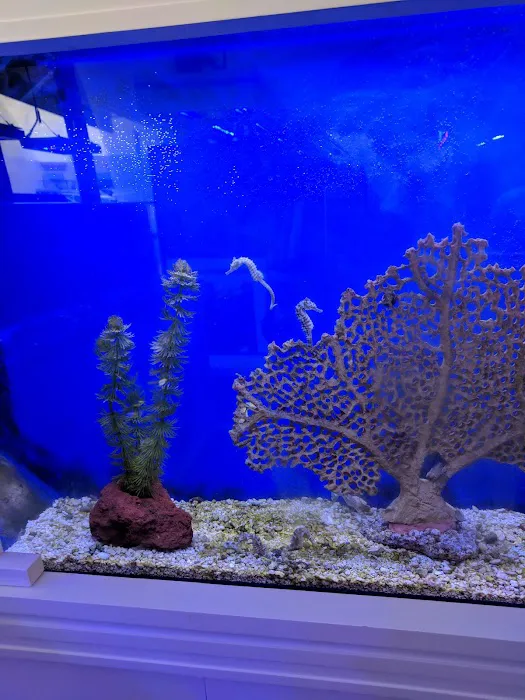Beyond the Reef Picture 3