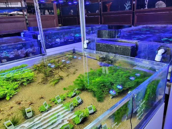 Beyond the Reef Picture 1