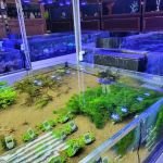 Beyond the Reef