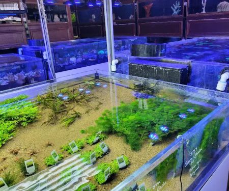 Beyond the Reef
