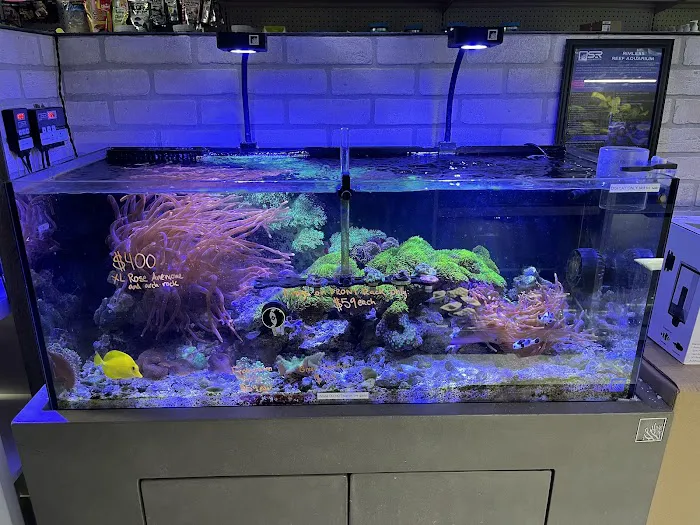 Beyond the Reef Picture 8