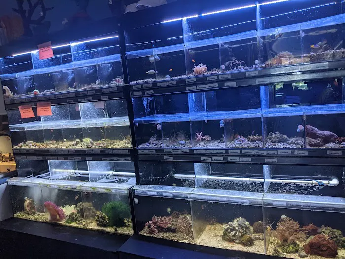 Beyond the Reef Picture 4