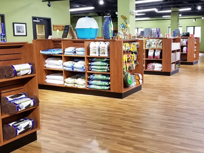 Golf Rose Pet Store Picture 6