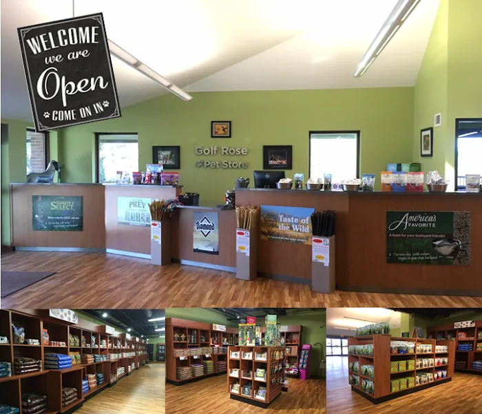 Golf Rose Pet Store Picture 8