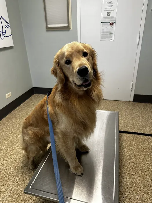 Swimming River Veterinary Hospital Picture 2