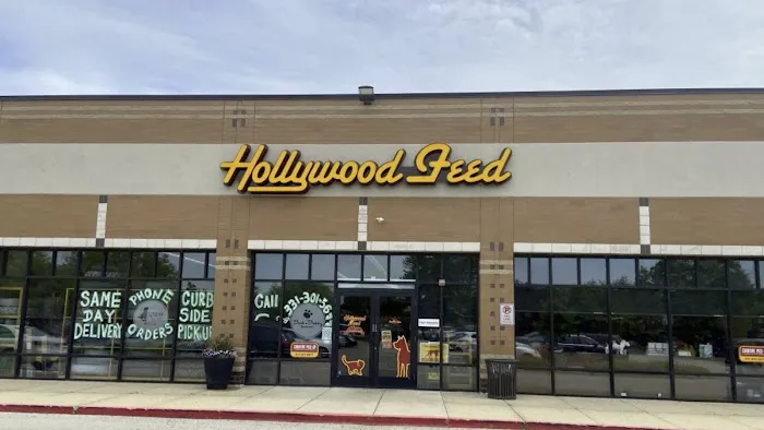 Hollywood Feed Picture 10