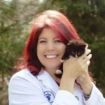 Dr. Jennifer Feeney, DVM, UW-AAB, FFCE, LSHU-S, CFV