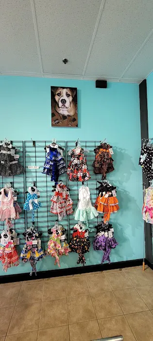 It's So Fluffy Pet Bakery Picture 10