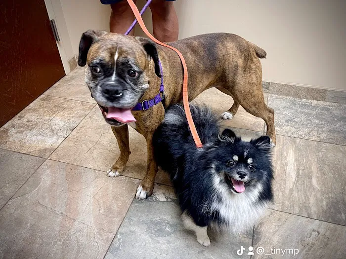 Bridgewater Veterinary Hospital Picture 6