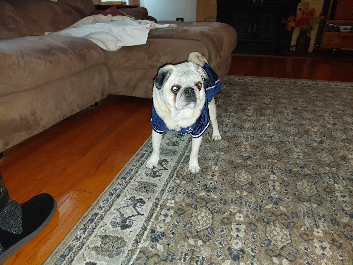 Bridgewater Veterinary Hospital Picture 9