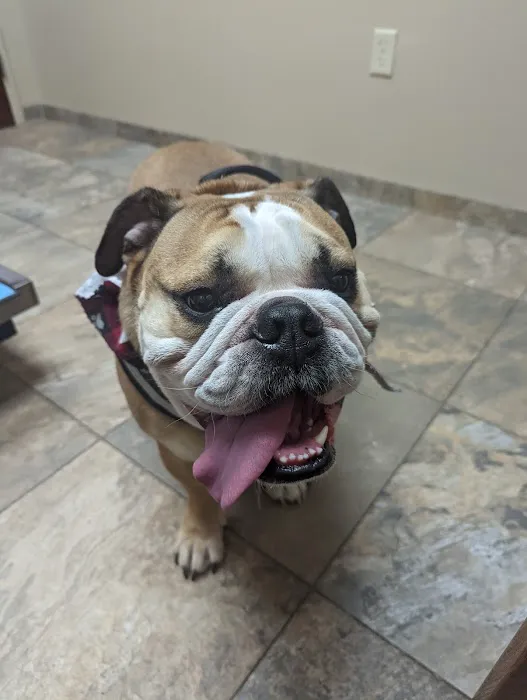 Bridgewater Veterinary Hospital Picture 8