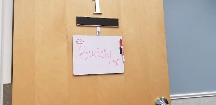 Animerge: Newton Dean DVM Picture 1