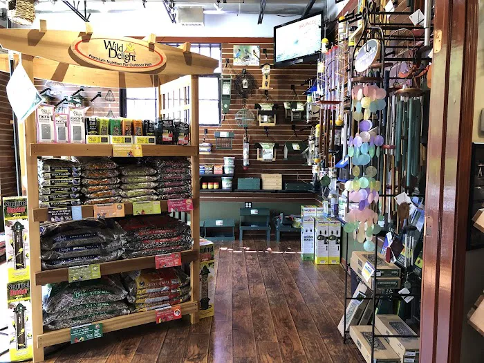 Thistle & Twig Diversions and Curiosities Shoppe Picture 3