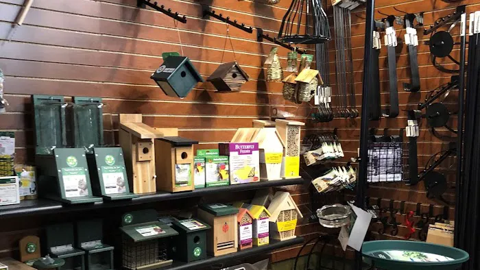 Thistle & Twig Diversions and Curiosities Shoppe Picture 4