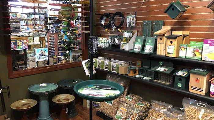 Thistle & Twig Diversions and Curiosities Shoppe Picture 7