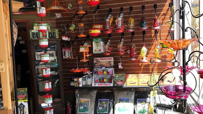 Thistle & Twig Diversions and Curiosities Shoppe Picture 5