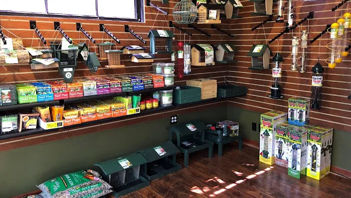 Thistle & Twig Diversions and Curiosities Shoppe Picture 6