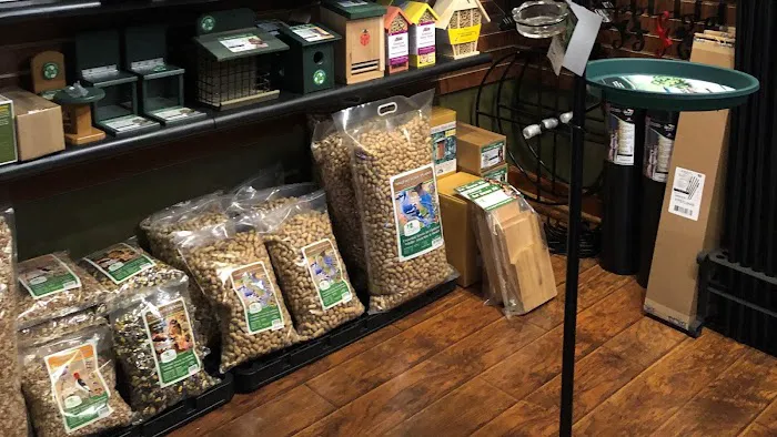 Thistle & Twig Diversions and Curiosities Shoppe Picture 8