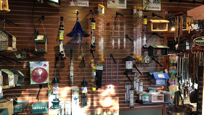 Thistle & Twig Diversions and Curiosities Shoppe Picture 9