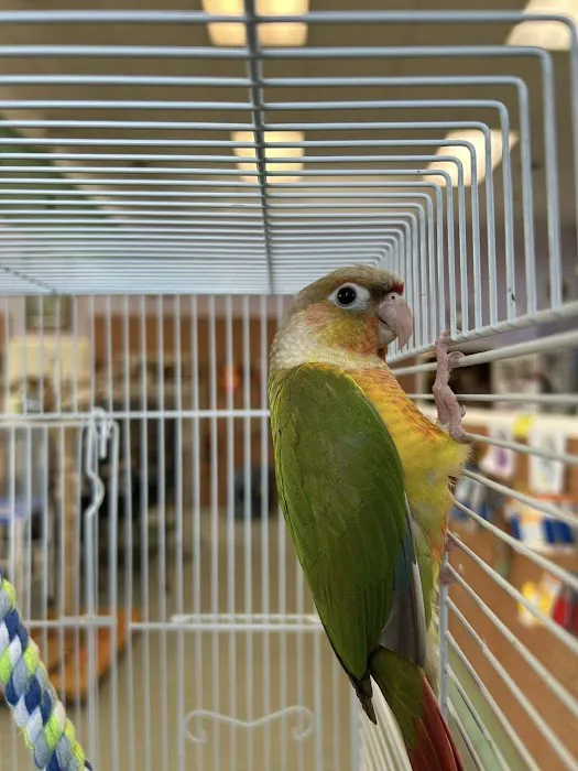 Bird Is the Word Picture 4