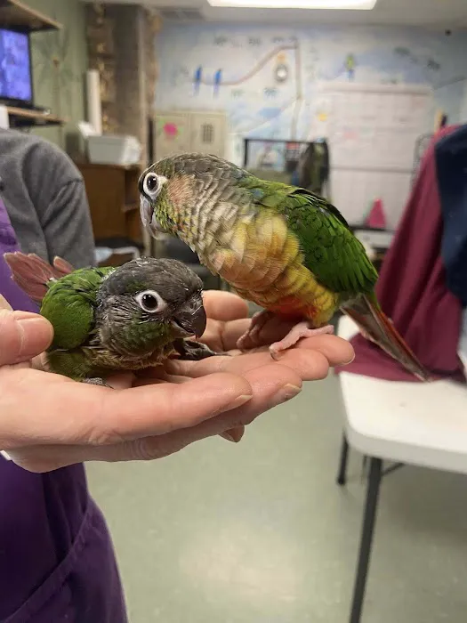 Bird Is the Word Picture 2