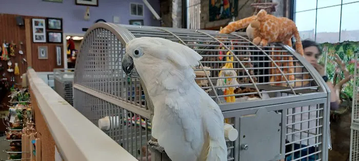 Bird Is the Word Picture 7