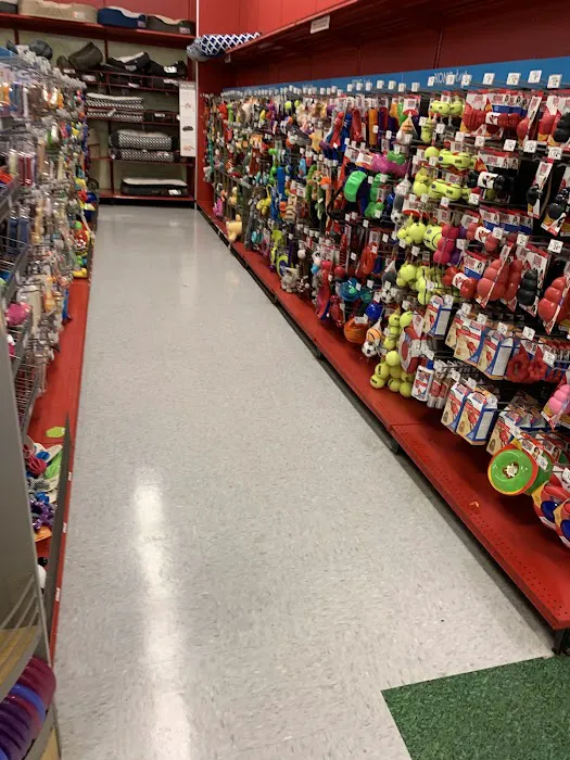 Petco Picture 9