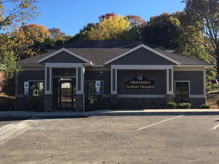 Morristown Animal Hospital Picture 9