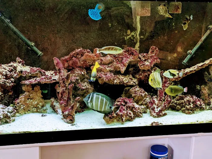 Reef Plus Picture 2