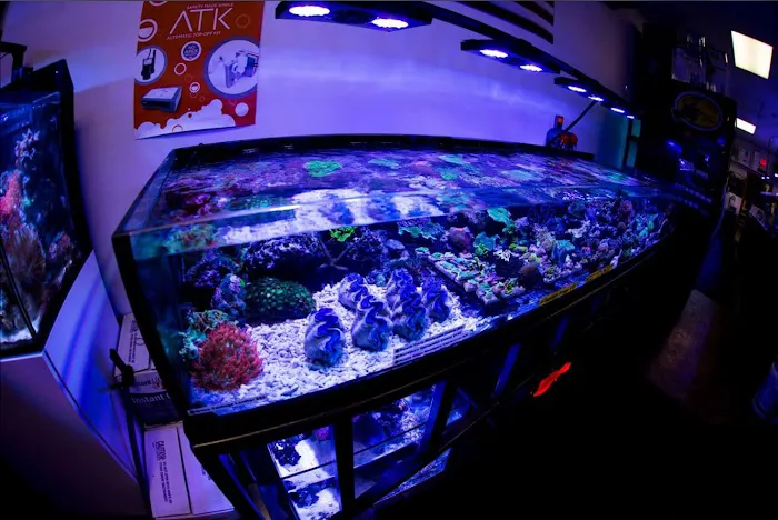 Reef Plus Picture 9