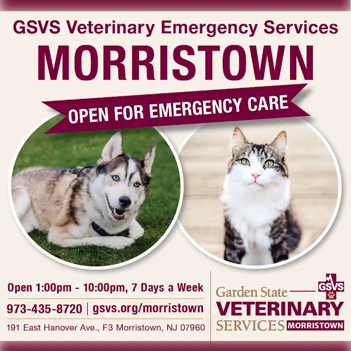 GSVS Veterinary Emergency Care Morristown Picture 7