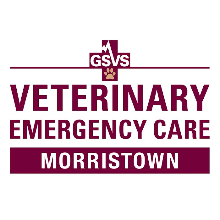 GSVS Veterinary Emergency Care Morristown Picture 6