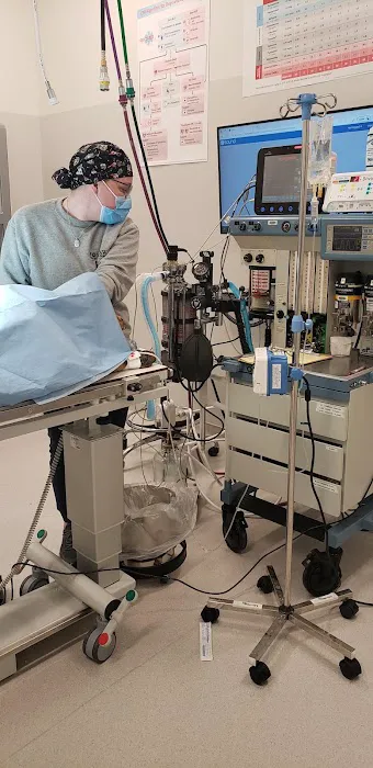 GSVS Veterinary Emergency Care Morristown Picture 3