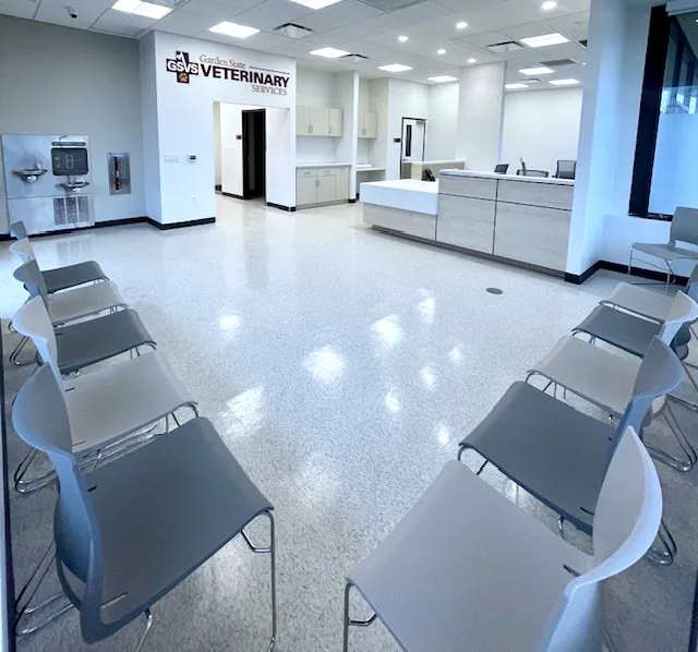 GSVS Veterinary Emergency Care Morristown Picture 1