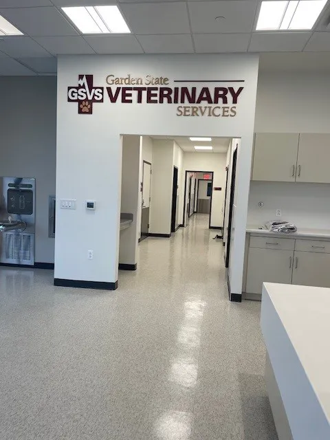 GSVS Veterinary Emergency Care Morristown Picture 9