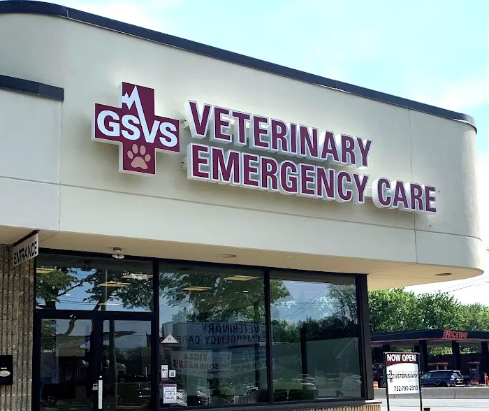 GSVS Veterinary Emergency Care Morristown Picture 5