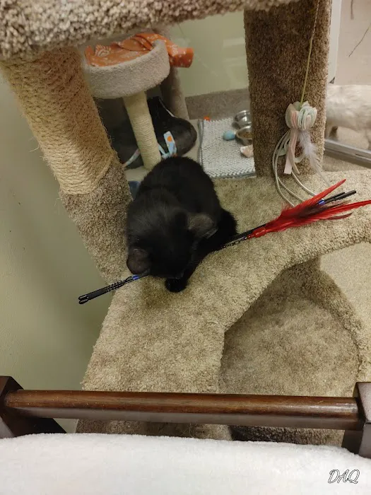 Pet Supplies Plus North Aurora Picture 5