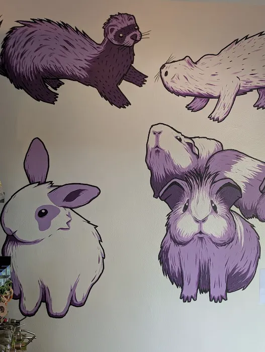 Evanston Pet Center Picture 1