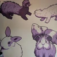 Evanston Pet Center ico