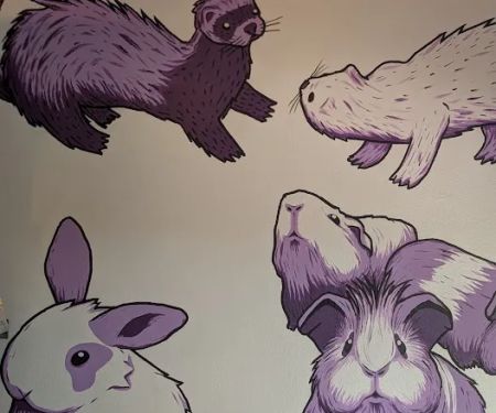 Evanston Pet Center