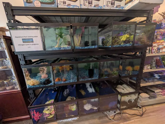 Evanston Pet Center Picture 4