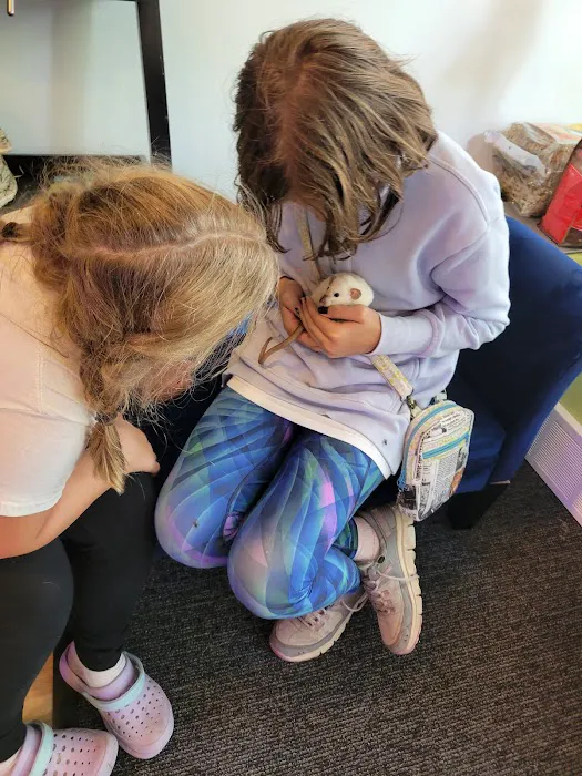 Evanston Pet Center Picture 6