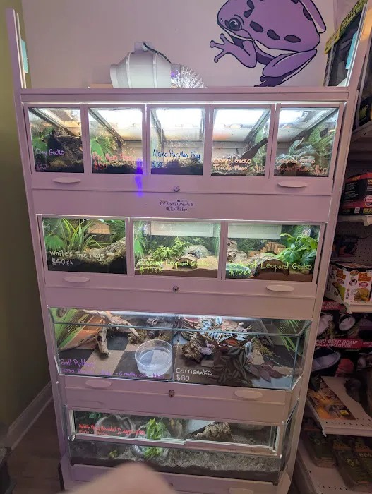 Evanston Pet Center Picture 3