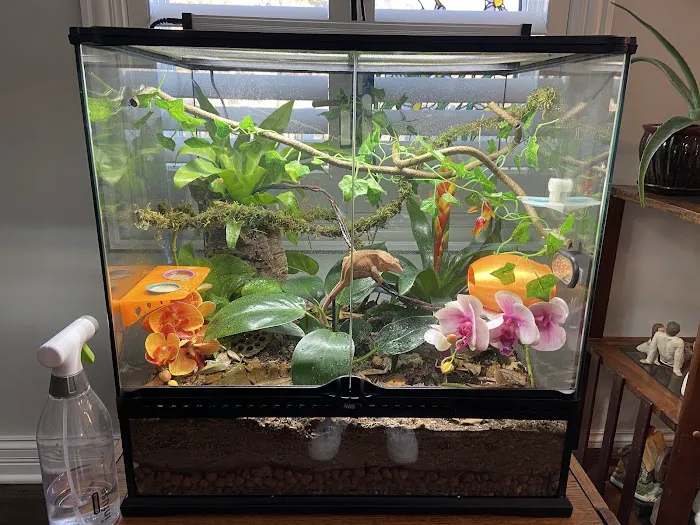 Zoo-Tropic Exotics Picture 1