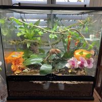 Zoo-Tropic Exotics ico