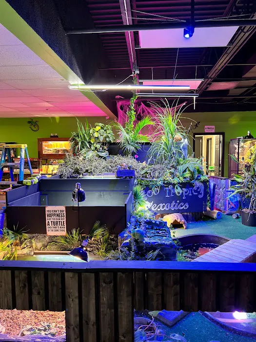 Zoo-Tropic Exotics Picture 5