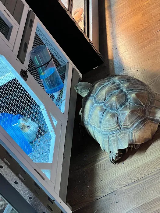 Zoo-Tropic Exotics Picture 7