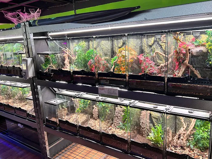 Zoo-Tropic Exotics Picture 9